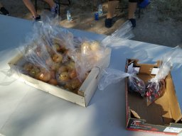 IMG_20200625_100443